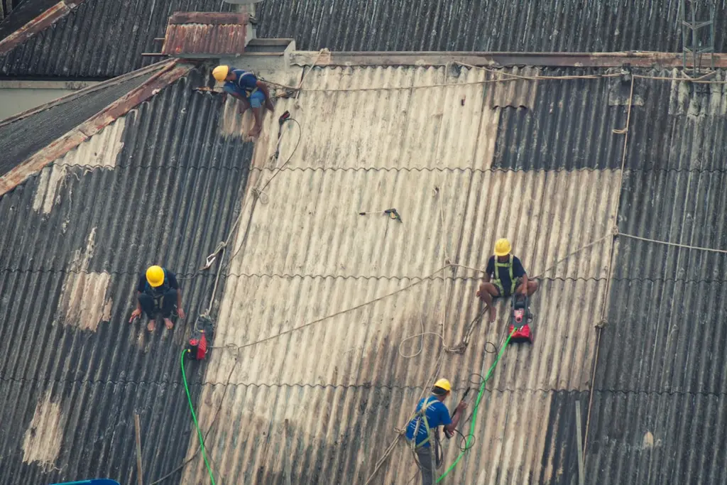 Roof cleaning services in Ludlow